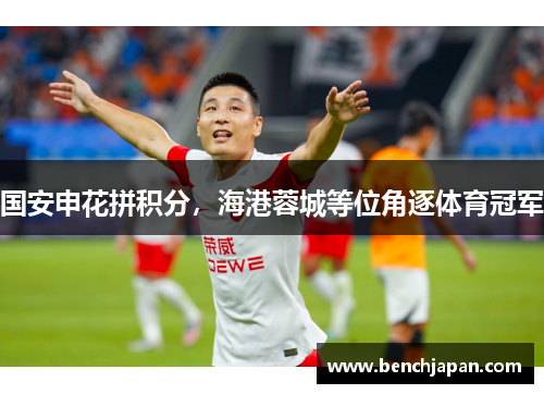 国安申花拼积分，海港蓉城等位角逐体育冠军