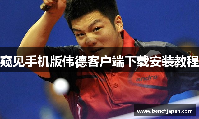 窥见手机版伟德客户端下载安装教程